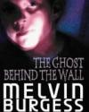Melvin Burgess: Spøgelset bag væggen