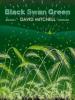 David Mitchell: Black Swan Green