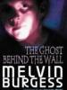 Melvin Burgess: Spøgelset bag væggen